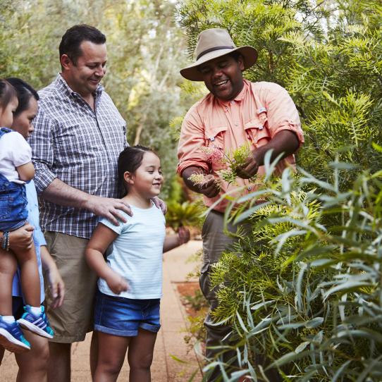 Guided Garden Walks